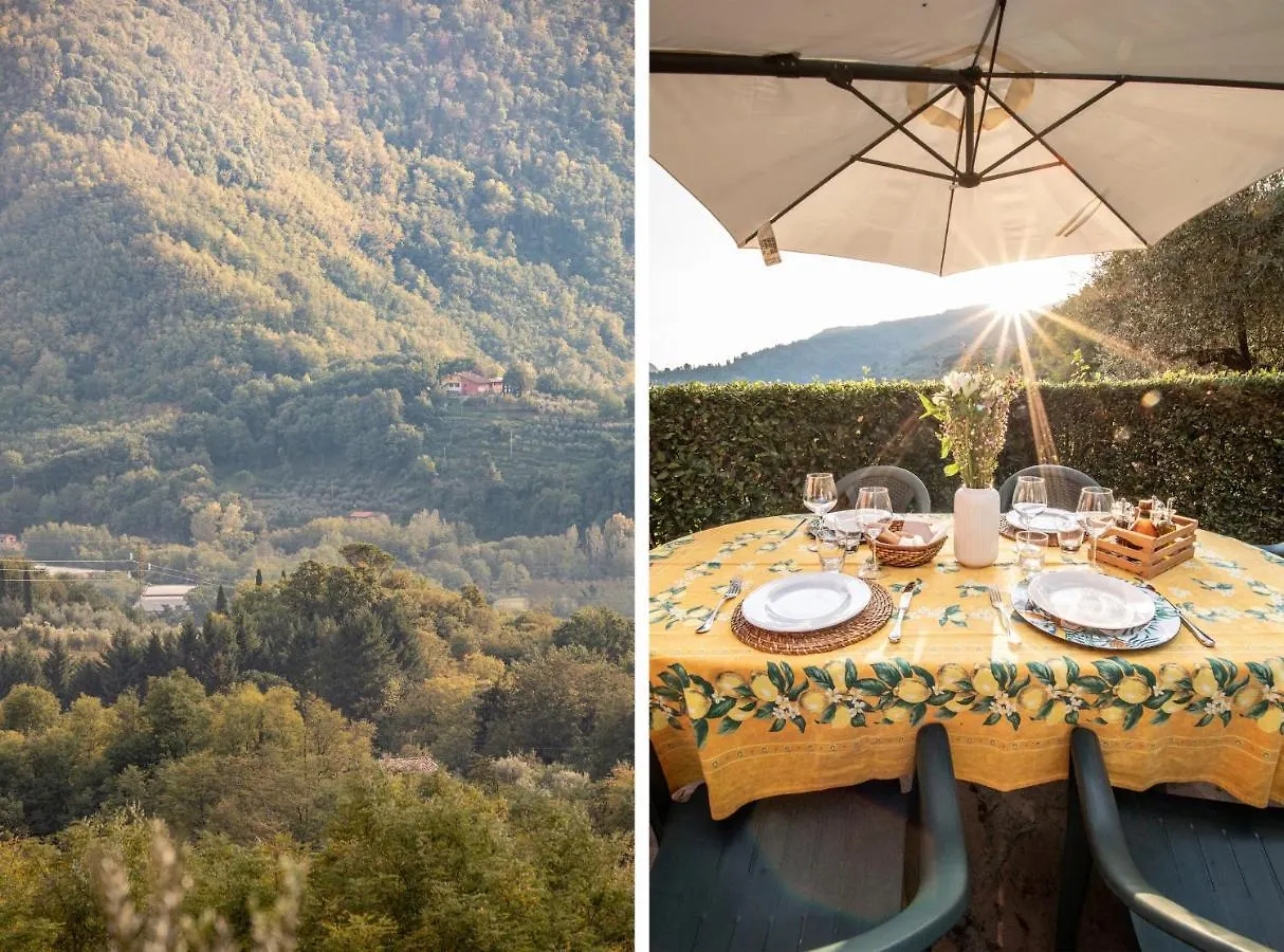 Casetta Di Butia, Mimosa Apartment Borgo a Mozzano