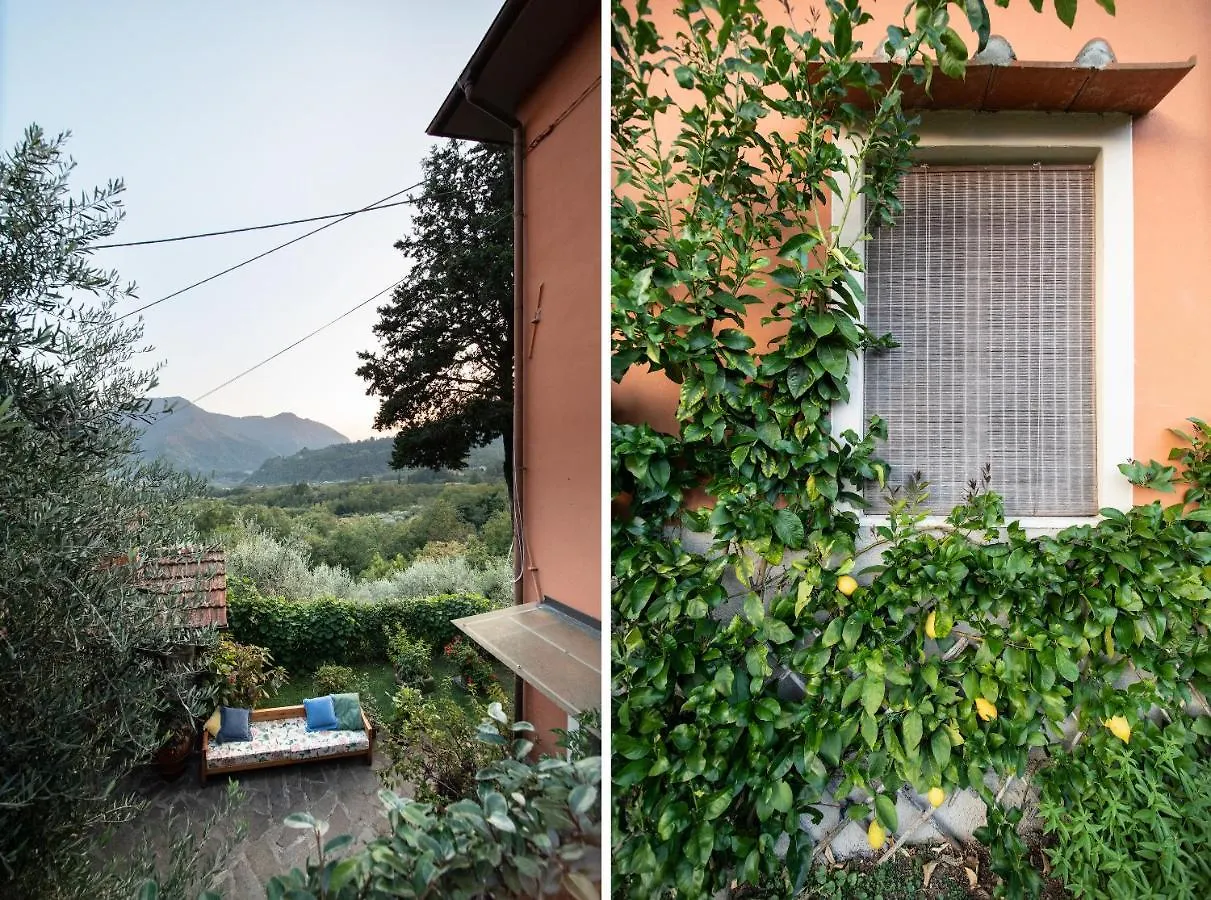 Casetta Di Butia, Mimosa Apartment Borgo a Mozzano 0*,  Olaszország