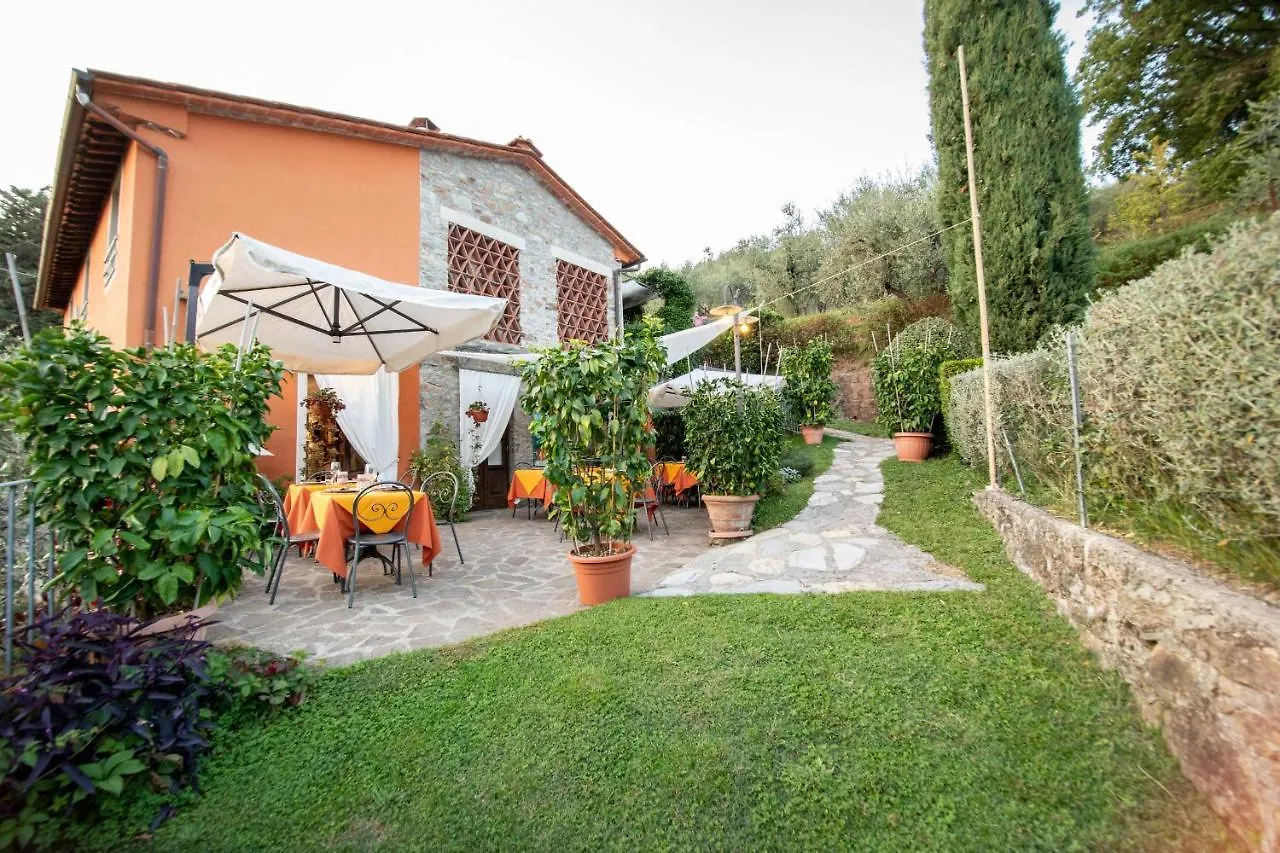 Casetta Di Butia, Mimosa Apartment Borgo a Mozzano Olaszország